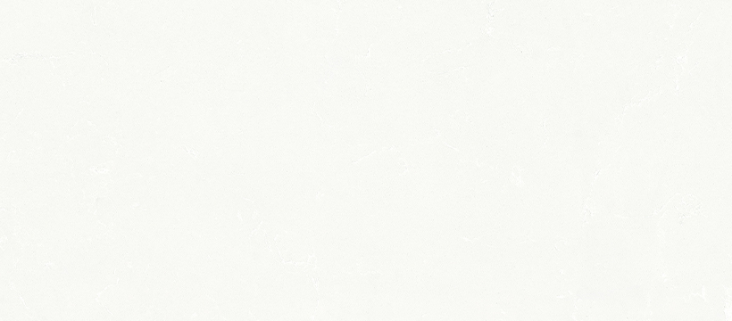 JS 29021 银装素裹