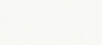 JS 29021 银装素裹